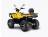Квадроцикл IRBIS ATV 200 PREMIUM (Желтый) MSD