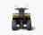 Квадроцикл IRBIS ATV 200 PREMIUM (Желтый) MSD
