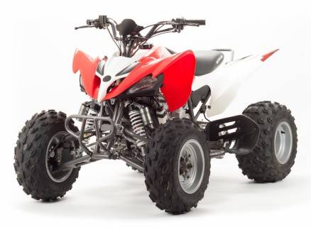 Квадроцикл Motoland 250S MSD