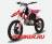 Apollo RXF 150 Freeride 19/16 MSD