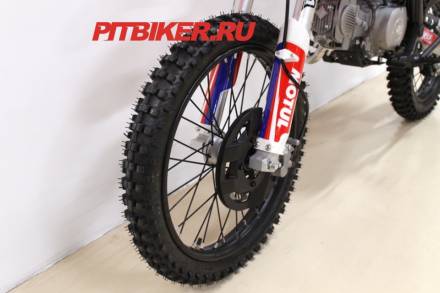 Apollo RXF 150 Freeride 19/16 MSD
