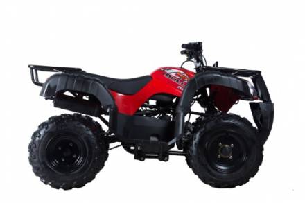 Квадроцикл (снегоболотоход 4-х колесный)  KAYO BULL 150 (красный) MSD