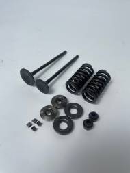 Клапаны к-т ZS170MM-2, ZS177MM (d-28/24,L100) + пружины сухари тарелки